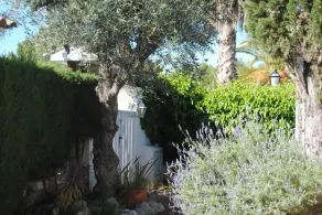 Sant Pere De Ribes: Hus med have - Image 4