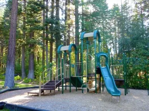 Luxury Lodgepole Home at Northstar - Image 2