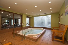 Whistler Blackcomb Vacation Rentals - Image 2
