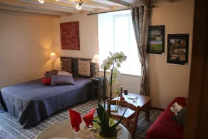 Small gite - beautiful, peaceful setting in an old farmhouse in the heart of the marshes - Image 5