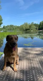 Private lakeside home with 2 private docks, hot tub, bball hoop, H2o activities - Image 2