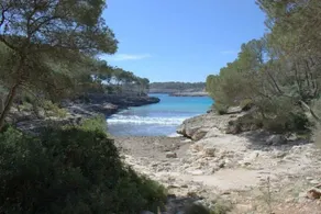 Andres - Image 5