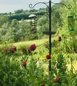Riverside retreat over looking the stunning Waveney Valley - fishing & kayaking - Image 5