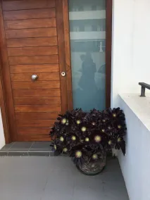 Casa Descansa - Urlaub zum Wohlfühlen, Genießen und Entspannen! - Image 3