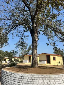 Home in the Jungle Pench - Image 5
