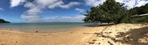 Aloha! The North Shore of Kauai awaits in this amazing, centrally located Condo! - Image 5