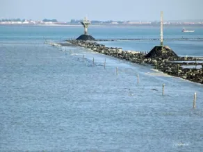 maison en bordure de mer sur la côte vendéenne bon plan au calme - Image 4