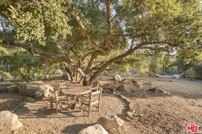 Modern spiritual oasis in East End orange groves - Image 4