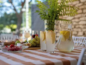 Rental with pool and AC in Provence n9 - Image 5
