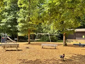 Woodland chalet in Namur - Image 2