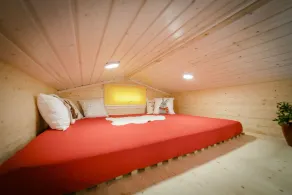 Tiny House - Pear - Image 5