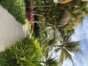 Vidanta Luxury Paradise by - Image 4