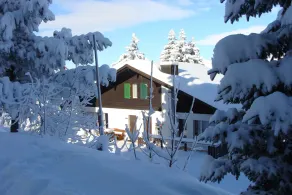 Sonnige 3 Zi FeWhng auf 1500 müM direkt im Skigebiet. - Image 5
