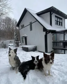 Mountain View Cottage, Hottub, Private pool, Jacuzzi - Image 4
