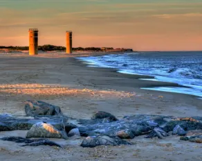 Suds & Sand, walk to Brewery or Drive to the Beach - Image 3