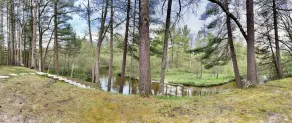 Riverfront cabin, on a secluded section of the Middle Branch, Pere Marquette - Image 2