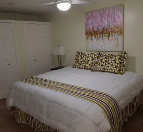 Newly Renovated 2bed/2bath New Kingston Apartment Very cozy and Convenient - Image 5