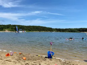 Modernes Cape Cod Haus in lebhafter Strandgemeinde - wenige Schritte zum Strand; Poolzugang!! - Image 4