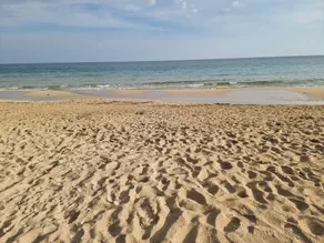 Pet-Friendly 'Villa Andrea' with Sea View, Garden & Wi-Fi - Image 4