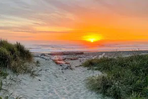 Ocean View Studio Apartment! Perfect for Agate Hunting! Dog Friendly! - Image 5