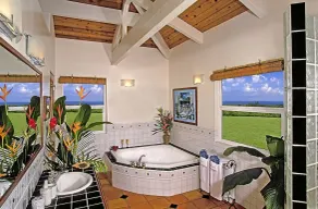 Private, Luxurious Dream Home with Swimming Pool, Permitted - Image 2