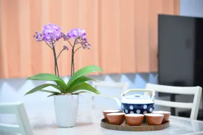 Kanae House - Image 2