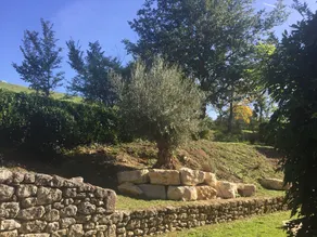 Haus am Golf des Vigiers - Image 4