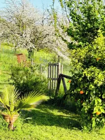 4 Bedroom Villa in Otricoli - Image 5