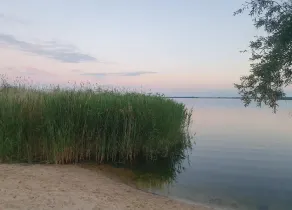 Ferienwohnung auf Usedom im Lepels Hof bis zu 8 P - Image 5