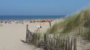 Zeemeeuw - Cosy holiday home near the beach - Image 3
