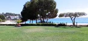 Stopover in ROSAS, in a park, beautiful apartment on the beach of Almadrava - Image 5