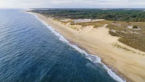 Swartzentruber Cottage close to DE Turf & Beaches, also for traveling nurses! - Image 3