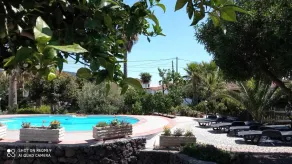 pretty apartment with sun terrace in the subtropical garden with WiFi and pool - Image 4