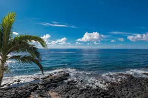 Kuhio Shores- Oceanfront, AC, Ground Floor - Image 4