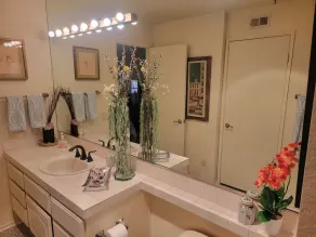 Heart of Palm Springs - Image 2