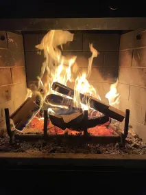 Fickle Fox Farm.  It’s snow season! Lifts are open. Fireplace is crackling! - Image 4