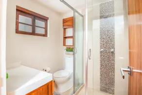 Magnífica casa de estilo colonial no coração de Coyoacán - Image 4