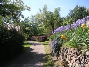 DOMAINE DU VERNADEL CHALET HELIOS 07 - Image 5