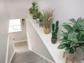1 bedroom accommodation in Newton Abbot - Image 2