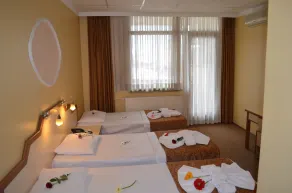 Ayvalık Palas Hotel - Image 2
