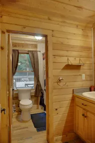 Cozy Cabin with ADA accessible, golfing, hiking,, beach, tennis, and more! - Image 5