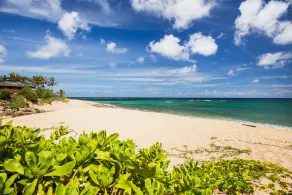 Hale Pono- Oceanfront, private, gated, great views, AC, large property - Image 4