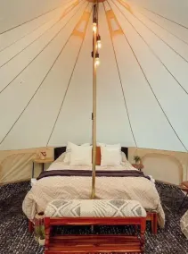 A luxurious glamping tent nestled in the trees. - Image 5