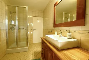 Adriana holiday home near Porec - Image 3