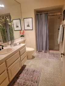 Heart of Palm Springs - Image 4