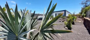 CASA NIDO - Moderne, sehr großräumige Villa mit beheiztem Pool - Image 4