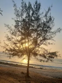 Sea View Villa - Image 4