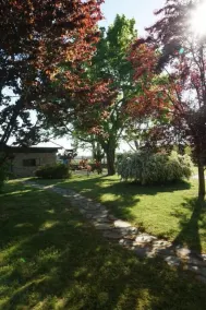 Cascina del Gelso - b&b - Image 5