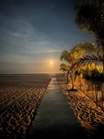 Welcome To Paradise! breathtaking ocean front -Top Floor Condo - Image 2