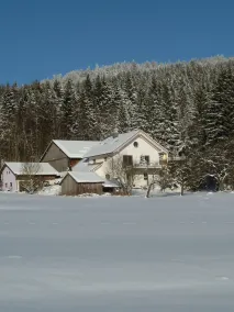 Living in nature at the Bavarian Forest National Park - Image 5
